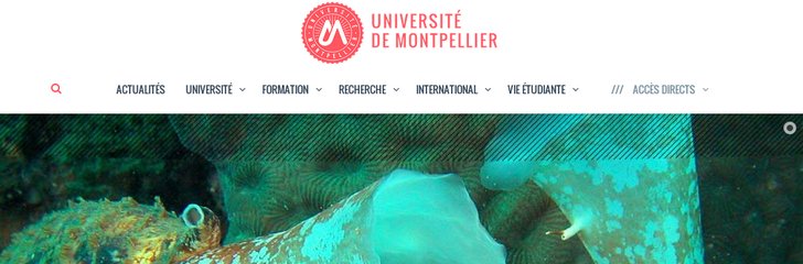 Universite Montpellier 1 - Centre de Droit de la Consommation et de Marche
