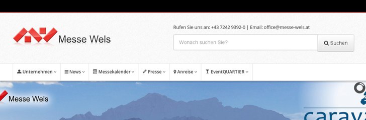 Messe Wels