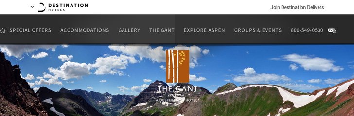 The Gant