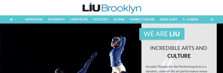 LIU Brooklin