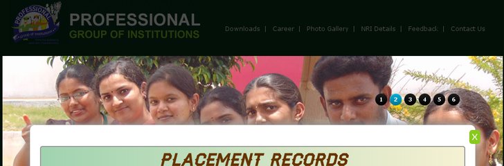 Professional Group of Institutions
